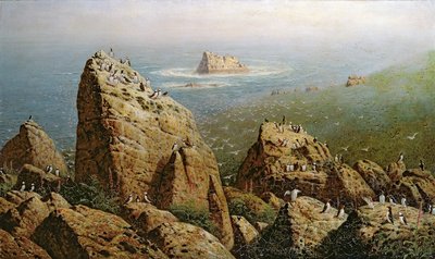 Puffins on Lundy Island by John George Naish